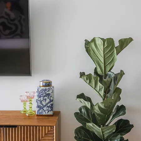 Madeira Aqua Dream Appartement Funchal (Madeira)