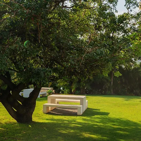 Madeira Aqua Dream Appartement *